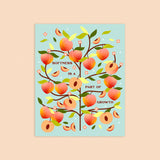 Peach - Garden Series 8x10in Print