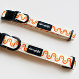 Rainbow Road Dog Collar