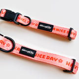 Have a Nice Day Daisy Dog Collar