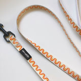 Rainbow Road Dog Leash
